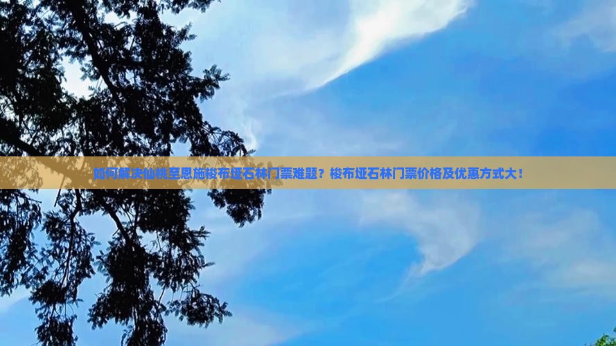 如何解决仙桃至恩施梭布垭石林门票难题？梭布垭石林门票价格及优惠方式大！