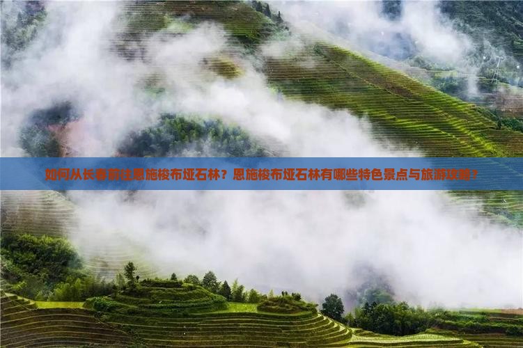 如何从长春前往恩施梭布垭石林？恩施梭布垭石林有哪些特色景点与旅游攻略？