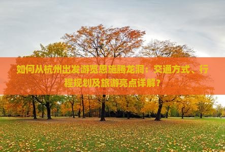 如何从杭州出发游览恩施腾龙洞：交通方式、行程规划及旅游亮点详解？