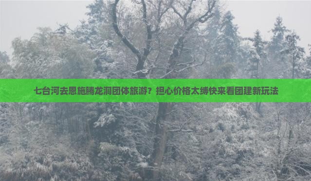 七台河去恩施腾龙洞团体旅游？担心价格太缚快来看团建新玩法
