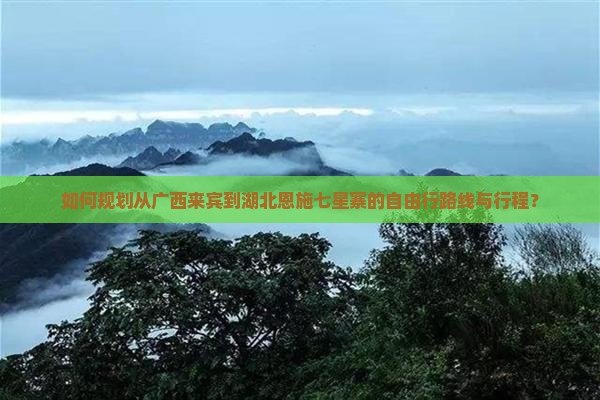 如何规划从广西来宾到湖北恩施七星寨的自由行路线与行程？