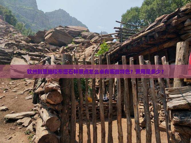 钦州到恩施梭布垭石林景点怎么卓有哪些特色？费用是多少？