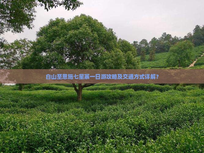 白山至恩施七星寨一日游攻略及交通方式详解？