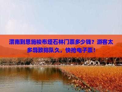 渭南到恩施梭布垭石林门票多少钱？游客太多导致排队久，快抢电子票！