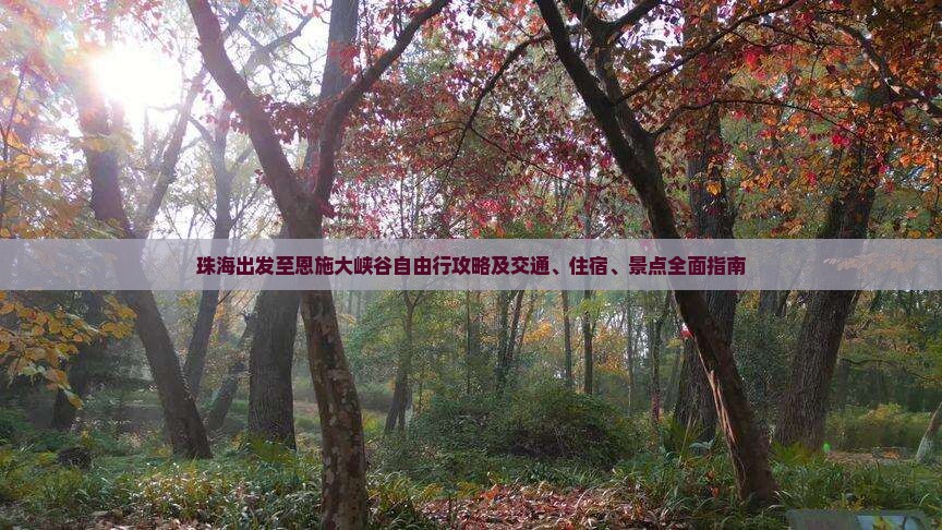 珠海出发至恩施大峡谷自由行攻略及交通、住宿、景点全面指南