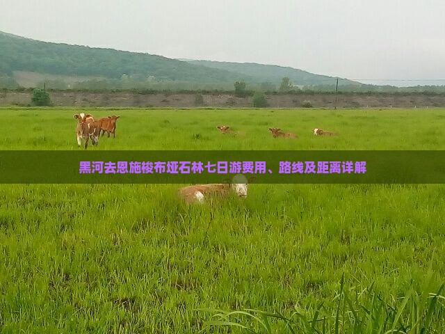 黑河去恩施梭布垭石林七日游费用、路线及距离详解