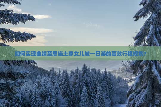 如何实现曲靖至恩施土家女儿城一日游的高效行程规划？