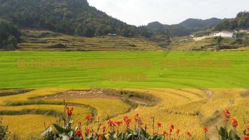 镇江出发恩施大峡谷旅游景点专题：峡谷景点深度攻略与旅游指南