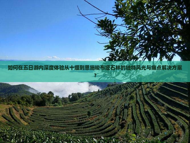 如何在五日游内深度体验从十堰到恩施梭布垭石林的独特风光与痛点解决方案？