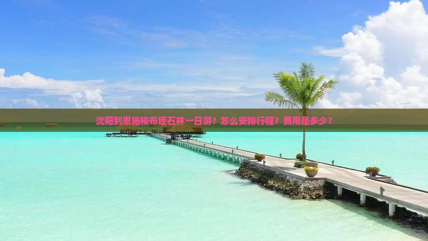 沈阳到恩施梭布垭石林一日游？怎么安排行程？费用是多少？