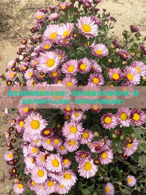 商丘去恩施腾龙洞必去地？沿途有哪些景点值得参观？腾龙洞内部有什么特色？如何安排行程最合理？