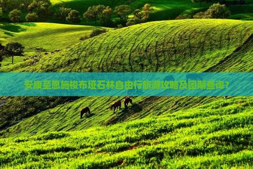 安康至恩施梭布垭石林自由行旅游攻略及团期查询？