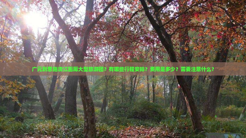 广元到恩施清江画廊大型旅游团？有哪些行程安排？费用是多少？需要注意什么？