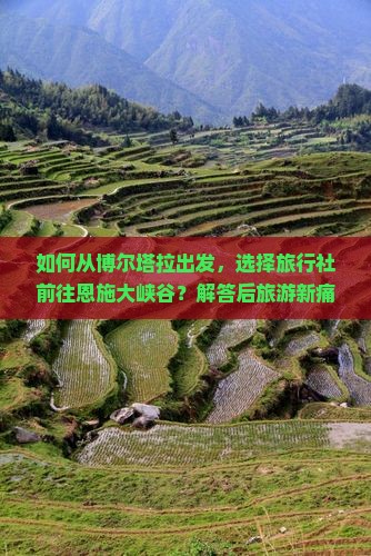 如何从博尔塔拉出发，选择旅行社前往恩施大峡谷？解答后旅游新痛点！