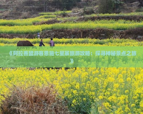 《阿拉善盟游客恩施七星寨旅游攻略：探寻神秘景点之旅》