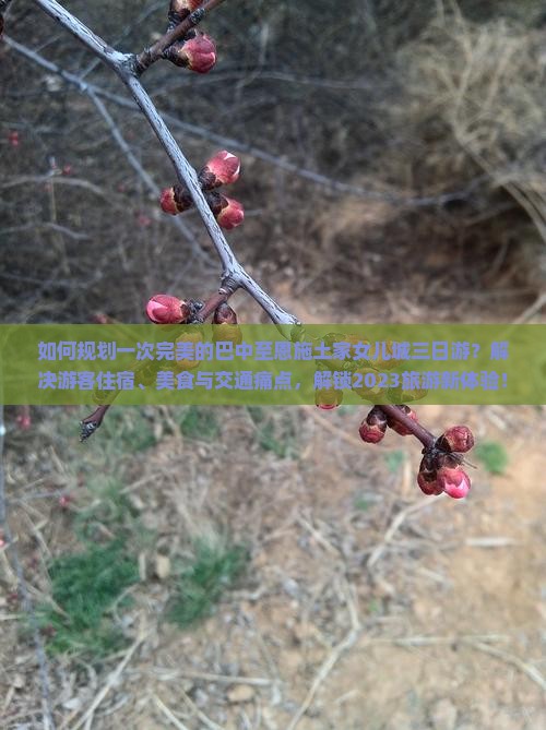如何规划一次完美的巴中至恩施土家女儿城三日游？解决游客住宿、美食与交通痛点，解锁2023旅游新体验！