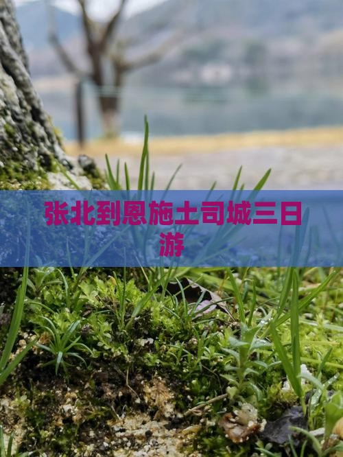 张北到恩施土司城三日游