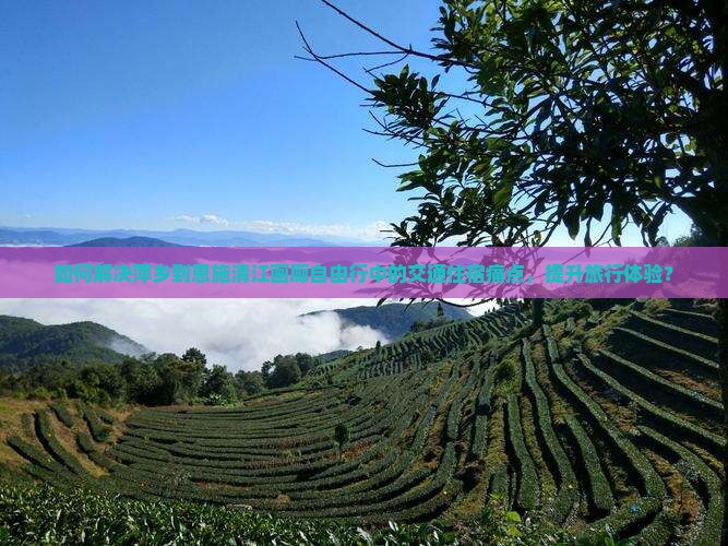 如何解决萍乡到恩施清江画廊自由行中的交通住宿痛点，提升旅行体验？