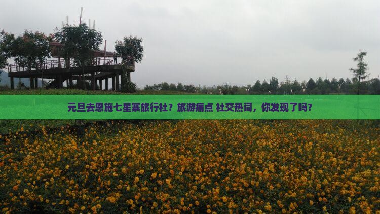 元旦去恩施七星寨旅行社？旅游痛点+社交热词，你发现了吗？