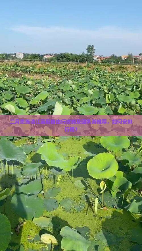 二月恩施清江画廊自由行攻略及团队游推荐，如何安排行程？