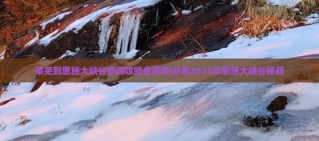 莱芜到恩施大峡谷团体旅游