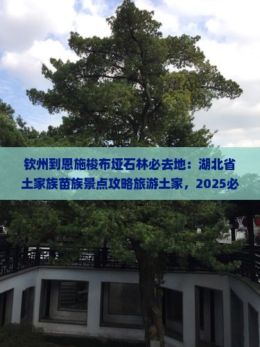 钦州到恩施梭布垭石林必去地 钦州到恩施梭布垭石林必去地