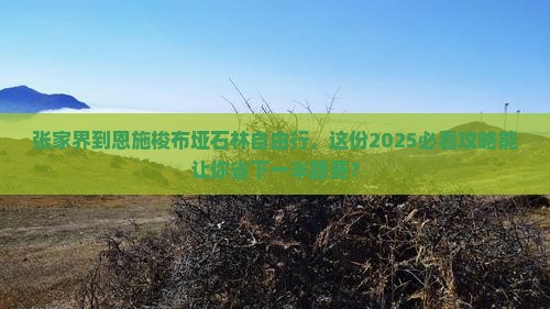 张家界到恩施梭布垭石林自由行