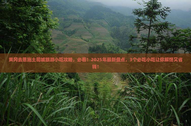 黄冈去恩施土司城旅游小吃