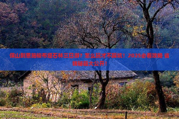 保山到恩施梭布垭石林三日游