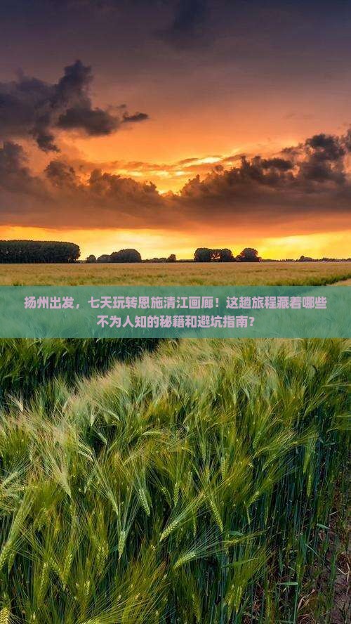 扬州到恩施清江画廊七日游
