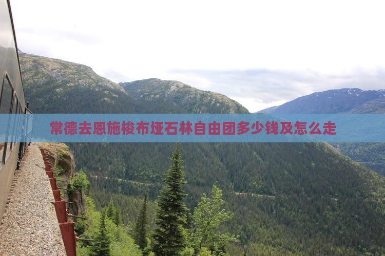 常德去恩施梭布垭石林自由团