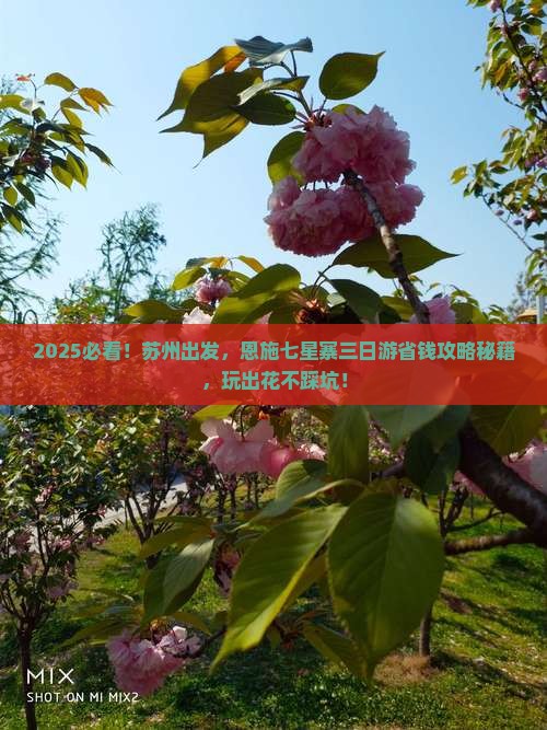 苏州到恩施七星寨三日游