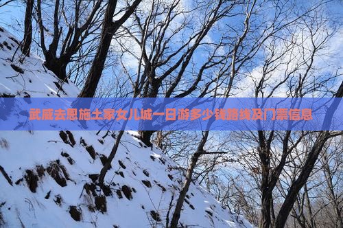武威去恩施土家女儿城一日