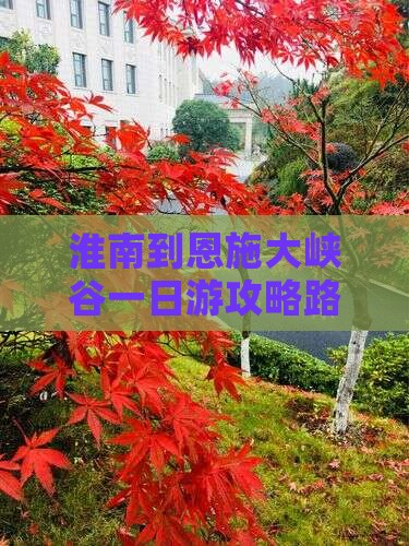 淮南到恩施大峡谷一日