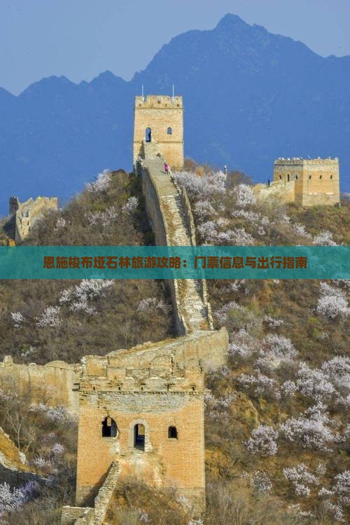 保山去恩施梭布垭石林门票