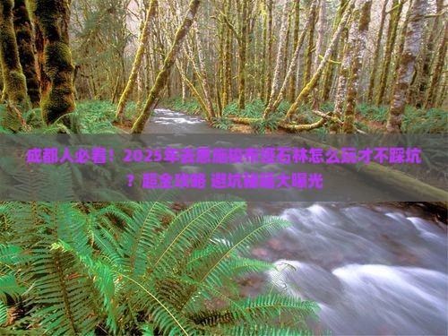 成都去恩施梭布垭石林大型旅游团