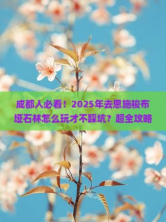 成都去恩施梭布垭石林大型旅游团