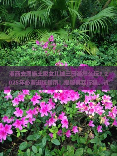 湘西去恩施土家女儿城三日游