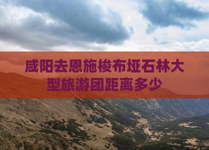 咸阳去恩施梭布垭石林大型旅游团