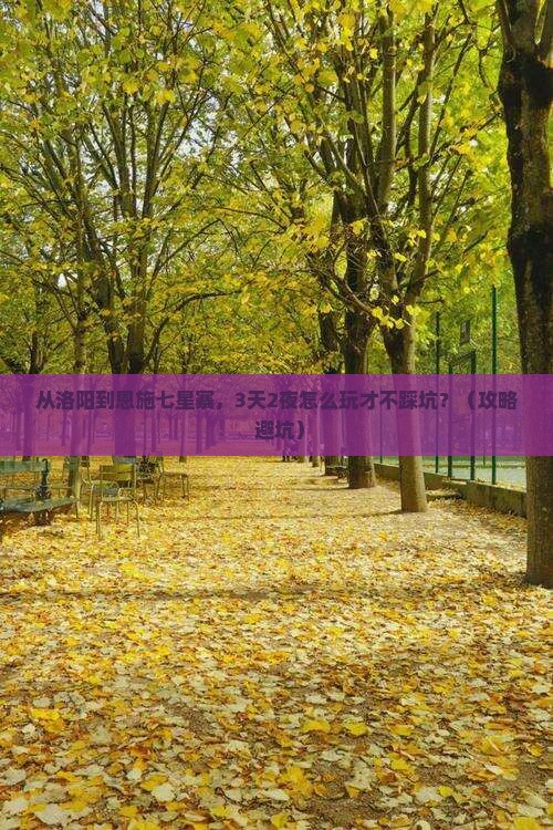 洛阳到恩施七星寨个人游