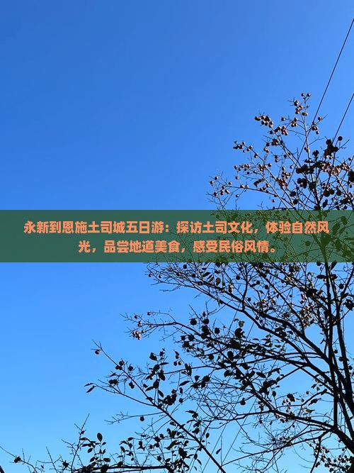 永新到恩施土司城五日游