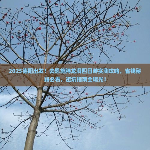 德阳去恩施腾龙洞四日游