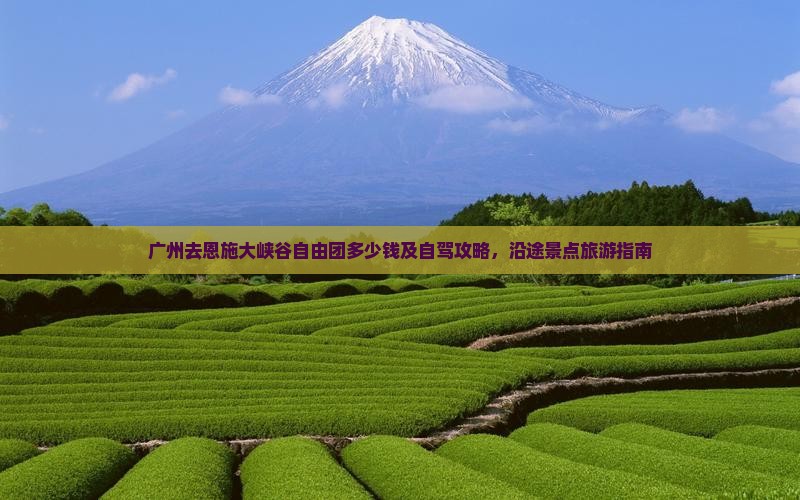 广州去恩施大峡谷自由团