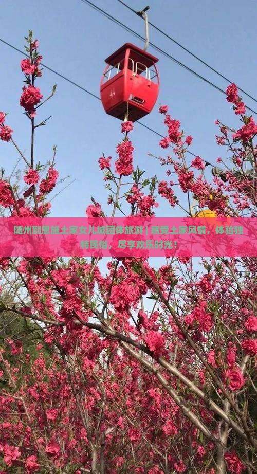 随州到恩施土家女儿城团体旅游