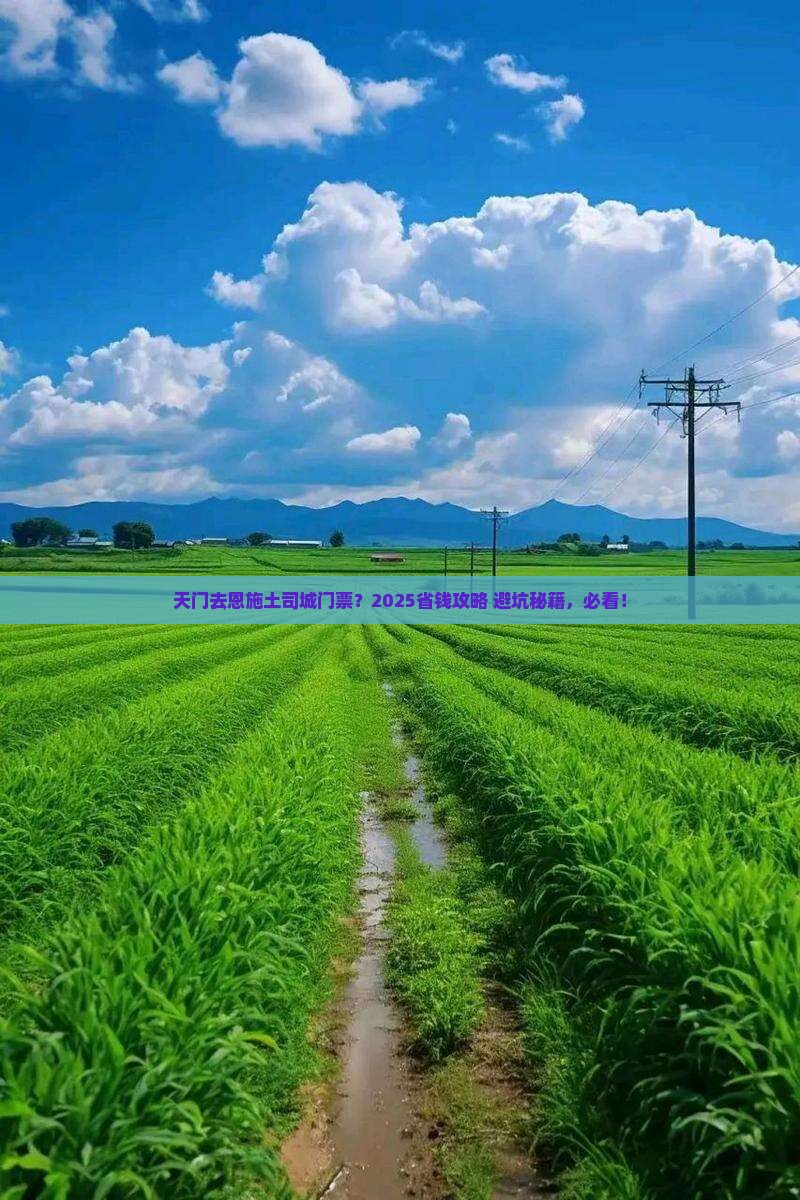 天门去恩施土司城门票