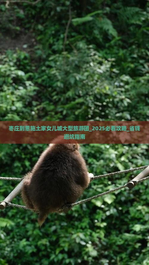 枣庄到恩施土家女儿城大型旅游团