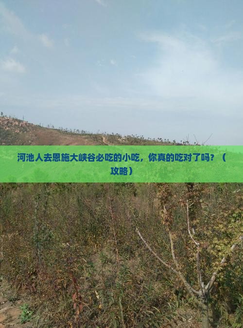 河池去恩施大峡谷旅游小吃