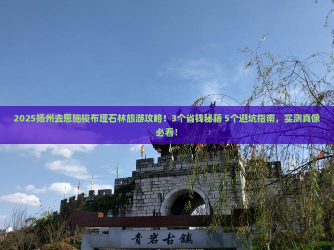 扬州去恩施梭布垭石林旅游