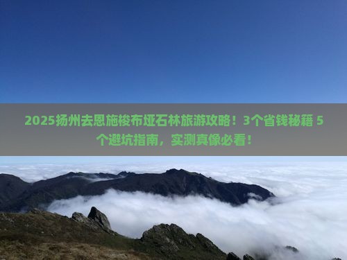扬州去恩施梭布垭石林旅游