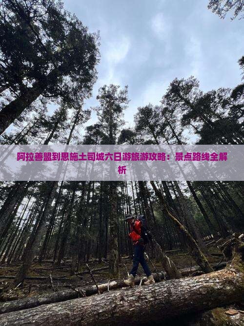 阿拉善盟到恩施土司城六日游旅游攻略：景点路线全解析